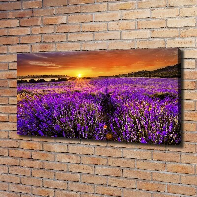 Canvas wall art Lavender field