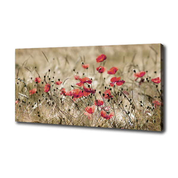 Canvas wall art Macs