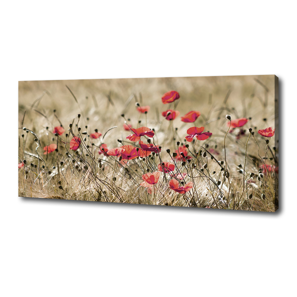 Canvas wall art Macs