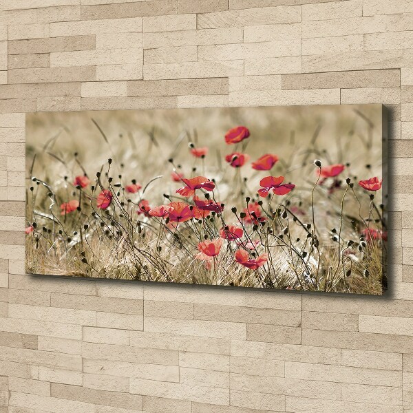 Canvas wall art Macs