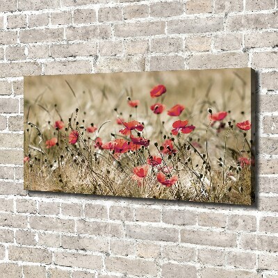 Canvas wall art Macs