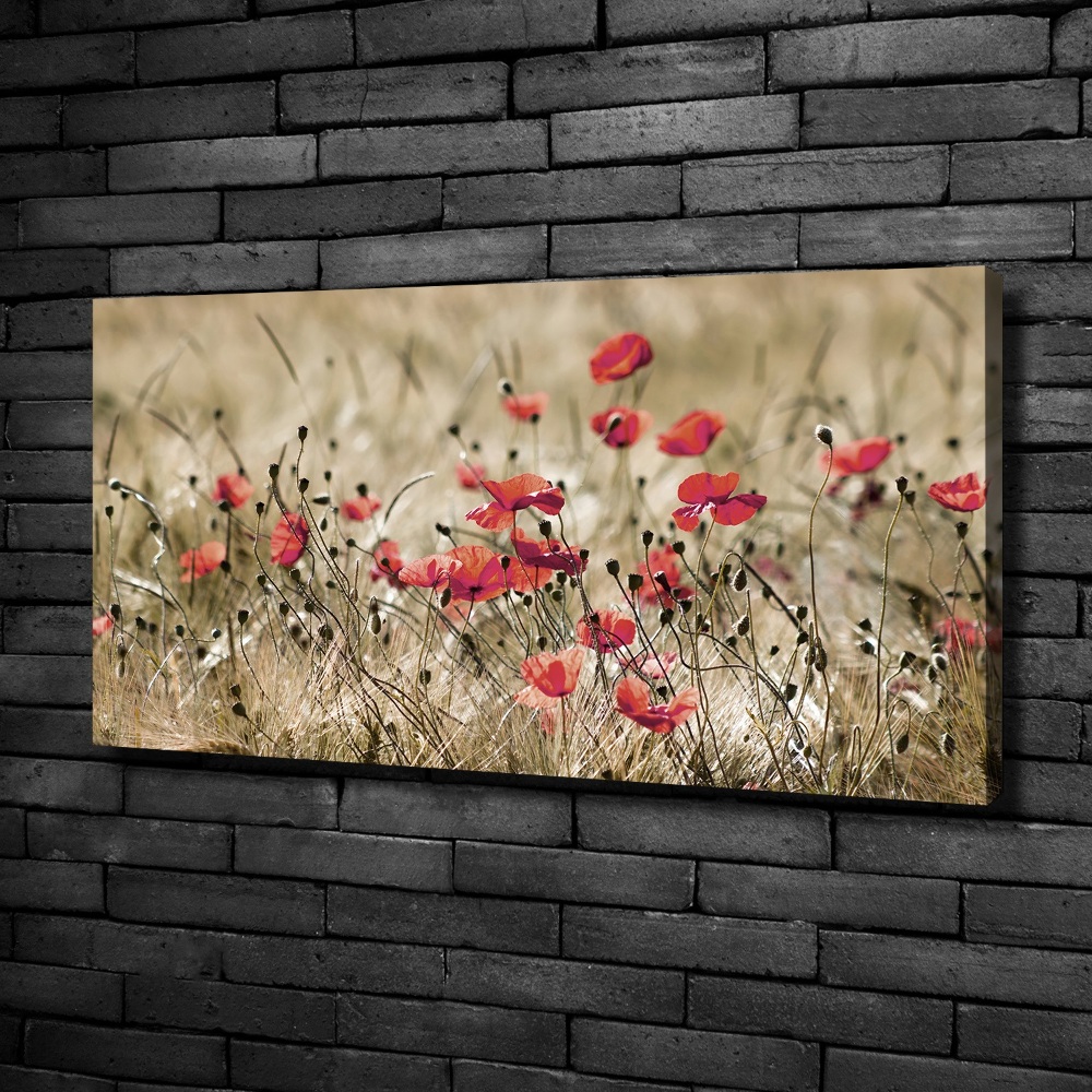 Canvas wall art Macs