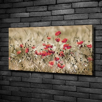 Canvas wall art Macs