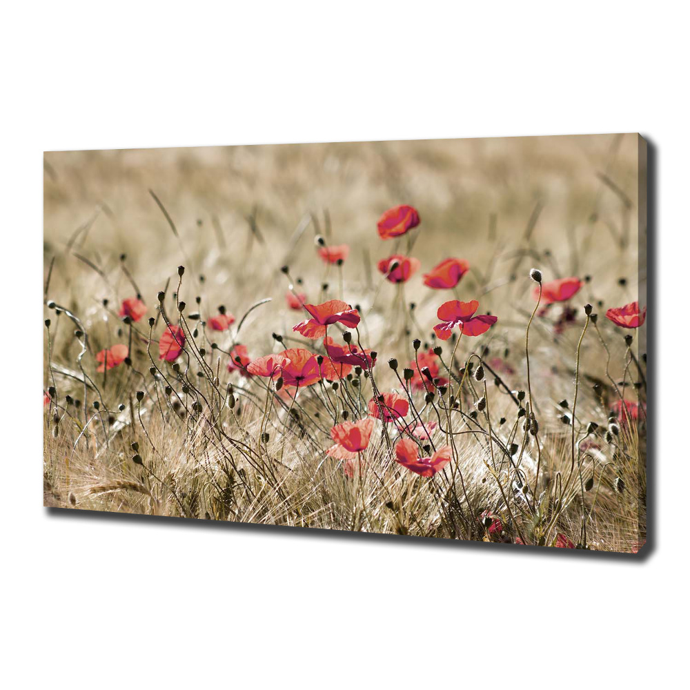 Canvas wall art Macs