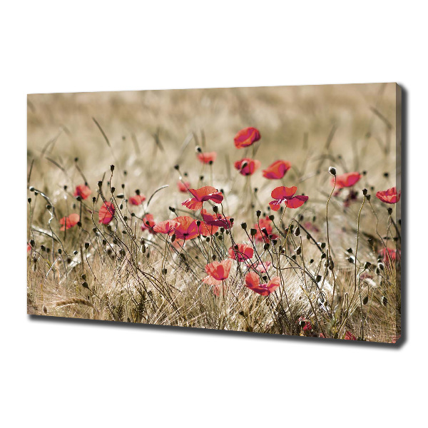 Canvas wall art Macs