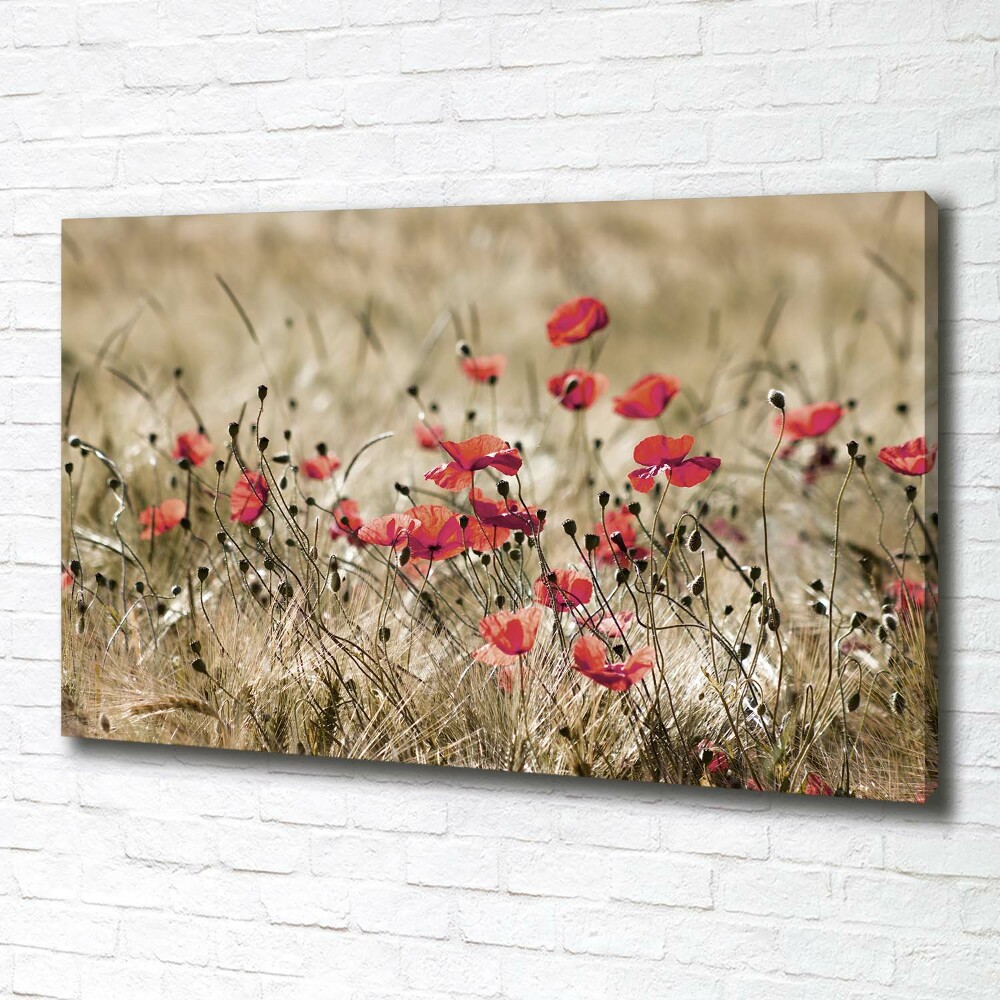 Canvas wall art Macs