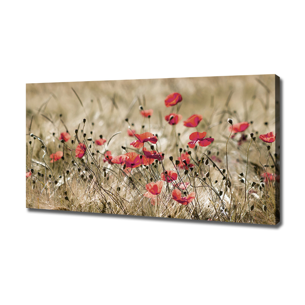 Canvas wall art Macs