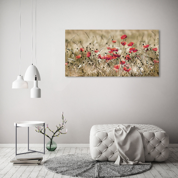 Canvas wall art Macs