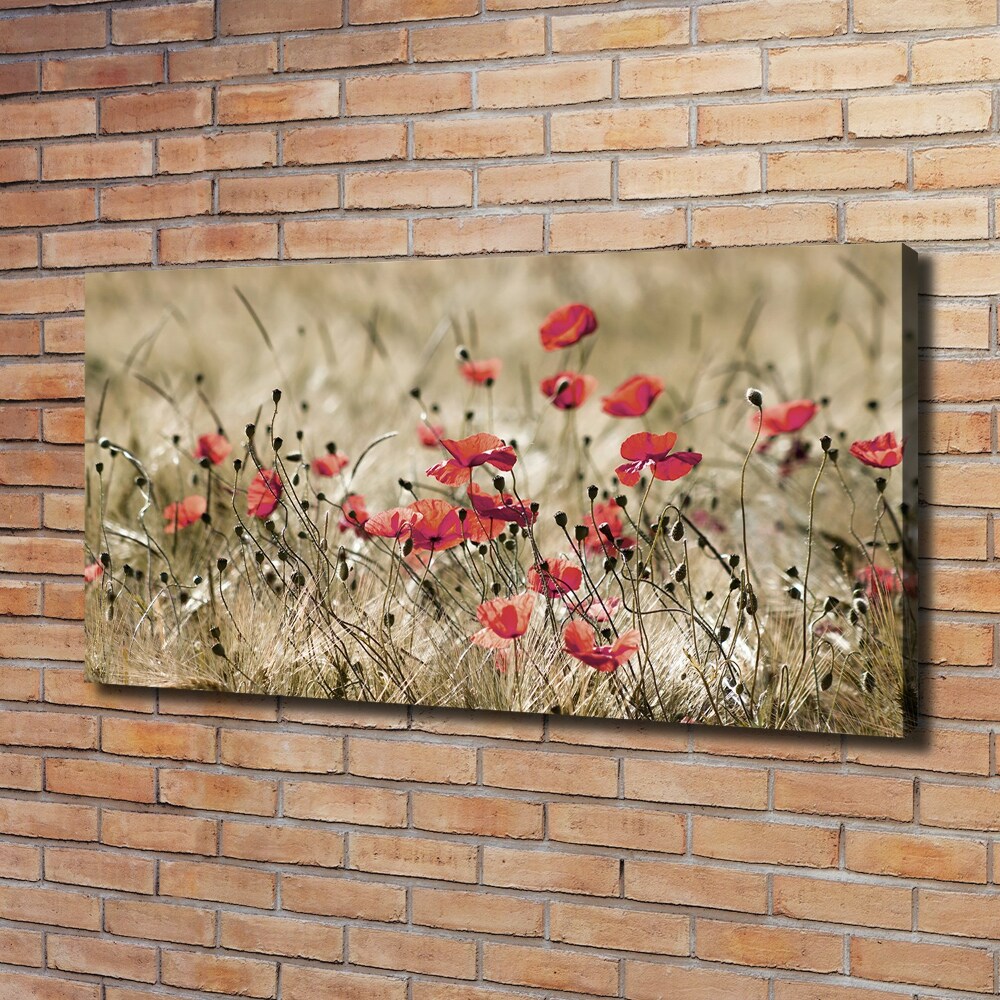 Canvas wall art Macs