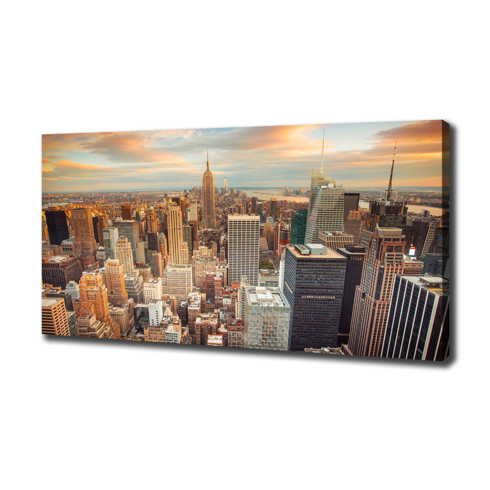 Canvas wall art New York Bird Lot