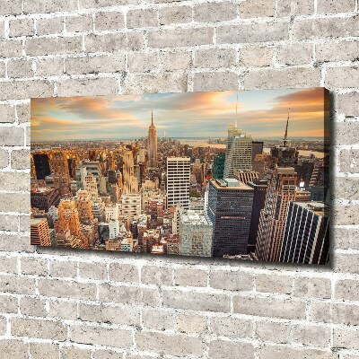 Canvas wall art New York Bird Lot