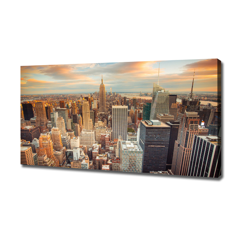 Canvas wall art New York Bird Lot