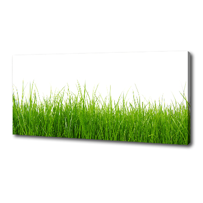 Canvas wall art Grass