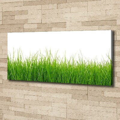 Canvas wall art Grass