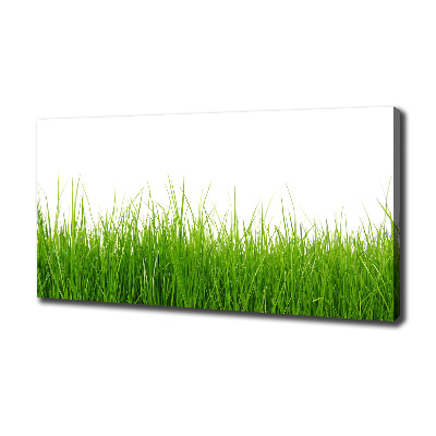 Canvas wall art Grass