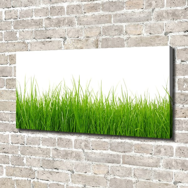 Canvas wall art Grass