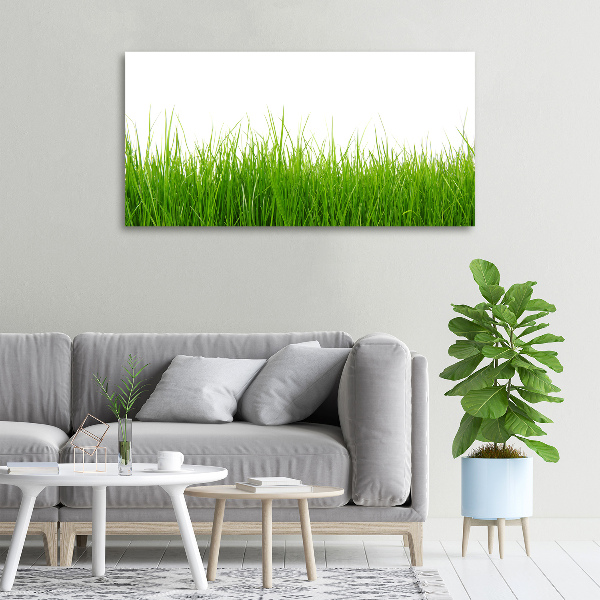 Canvas wall art Grass