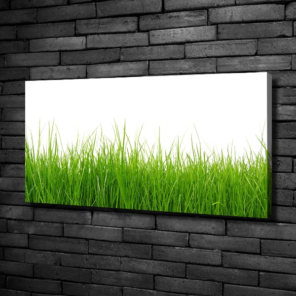 Canvas wall art Grass