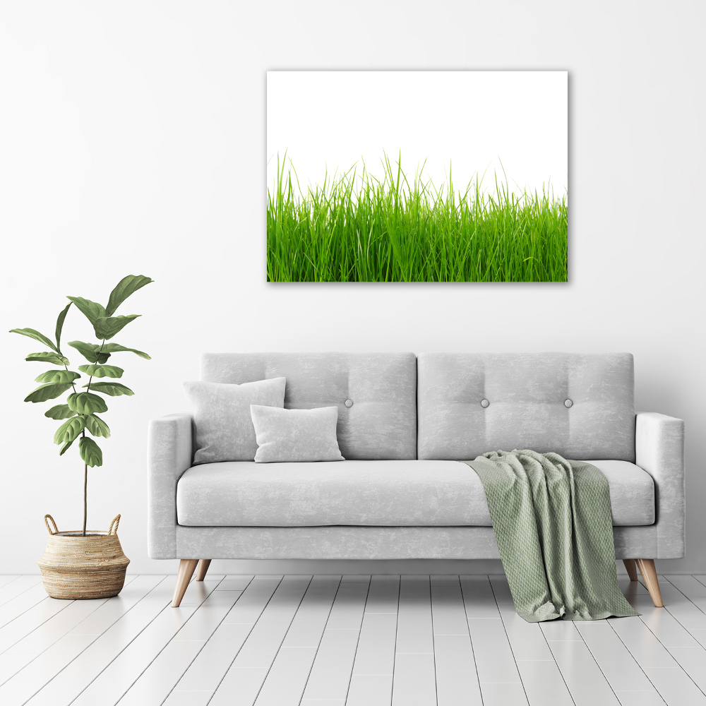 Canvas wall art Grass