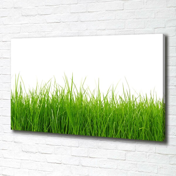 Canvas wall art Grass