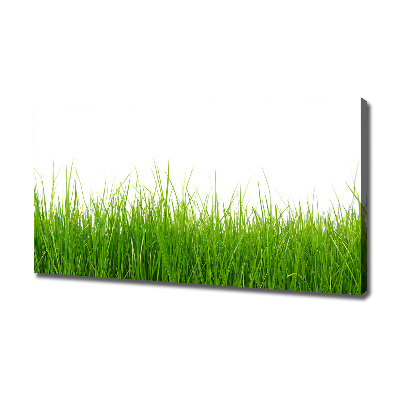 Canvas wall art Grass