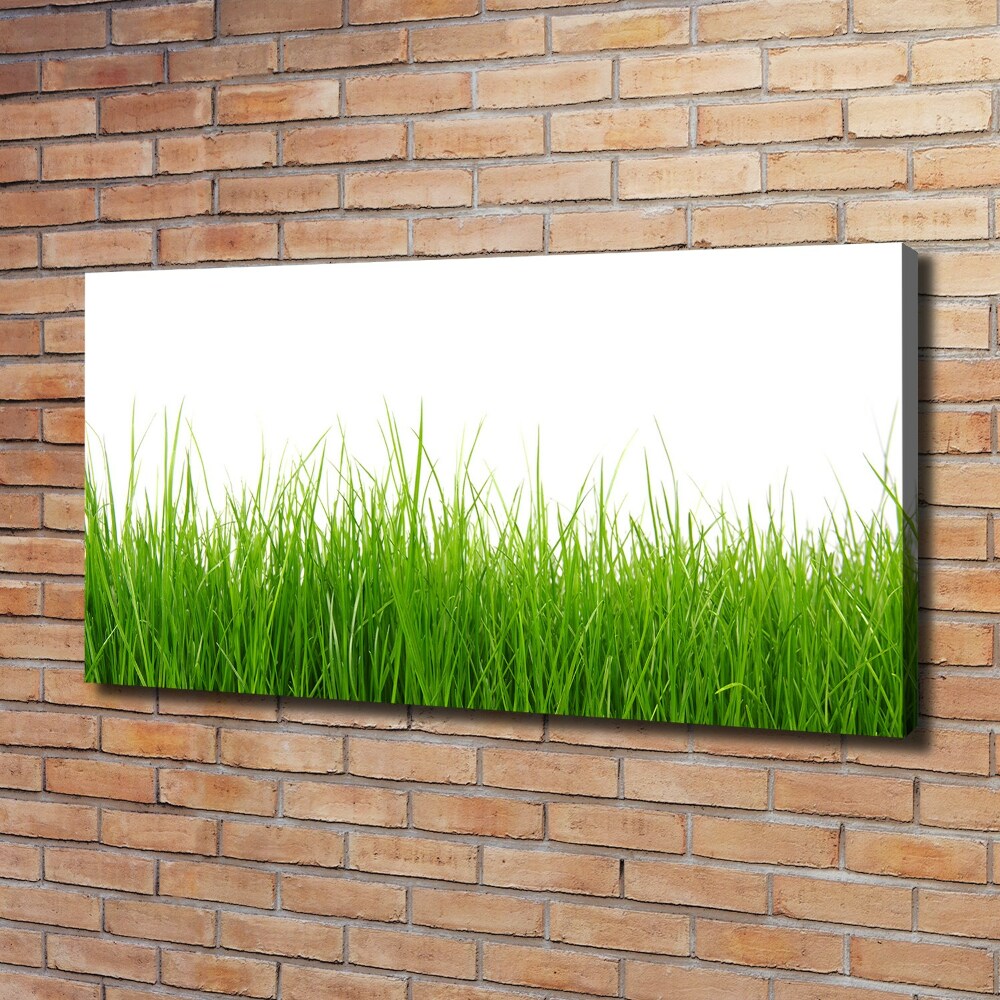 Canvas wall art Grass