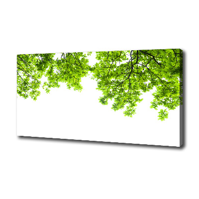 Canvas wall art Oak leaves