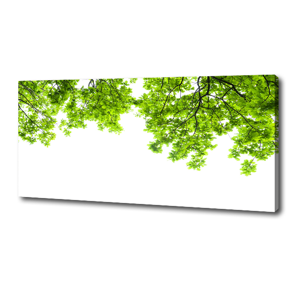 Canvas wall art Oak leaves