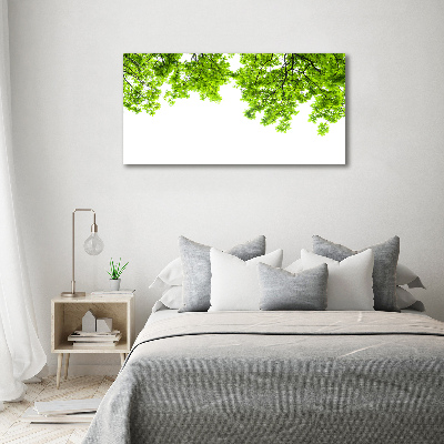 Canvas wall art Oak leaves