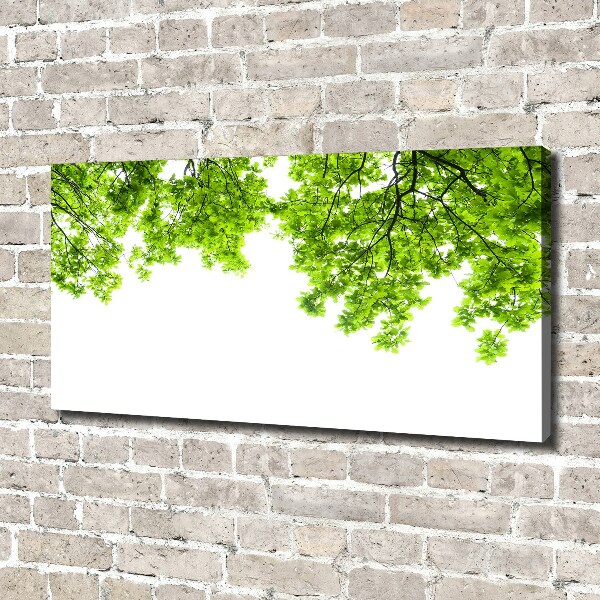 Canvas wall art Oak leaves