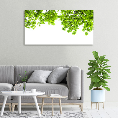 Canvas wall art Oak leaves