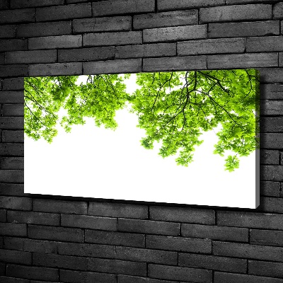 Canvas wall art Oak leaves