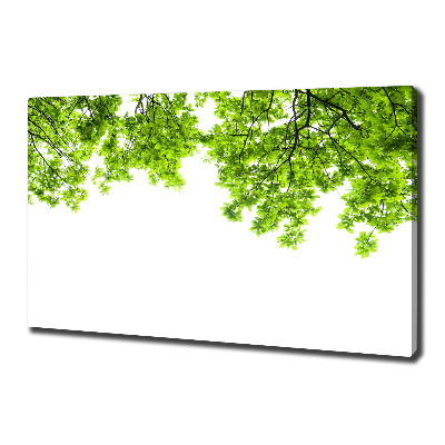 Canvas wall art Oak leaves