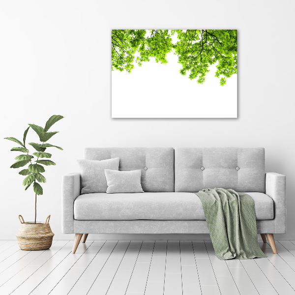 Canvas wall art Oak leaves