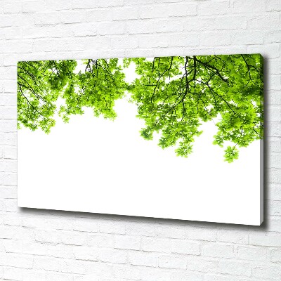 Canvas wall art Oak leaves