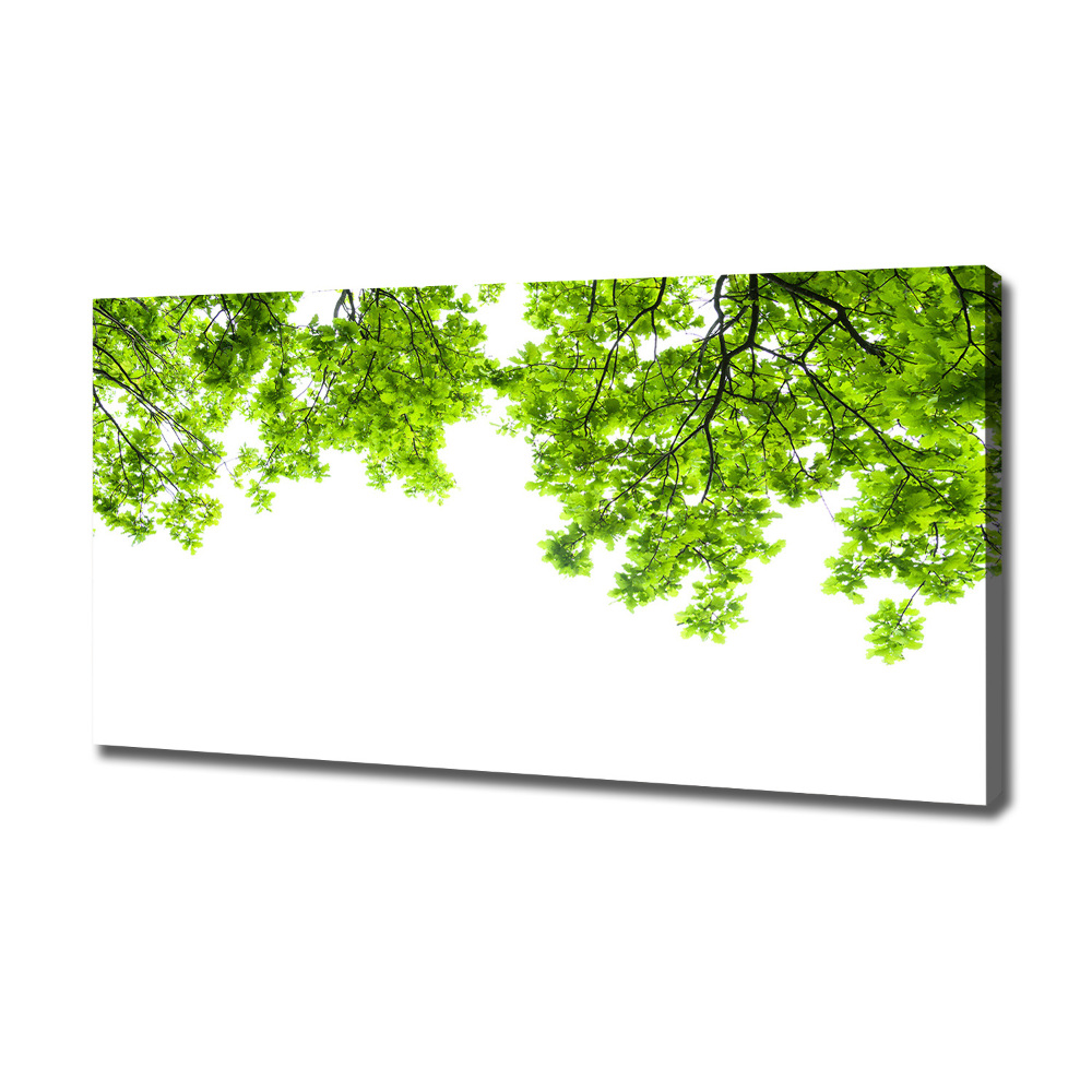 Canvas wall art Oak leaves