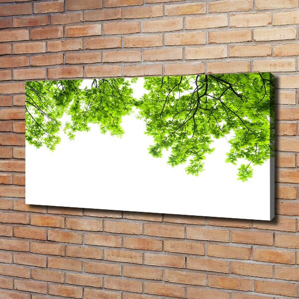 Canvas wall art Oak leaves