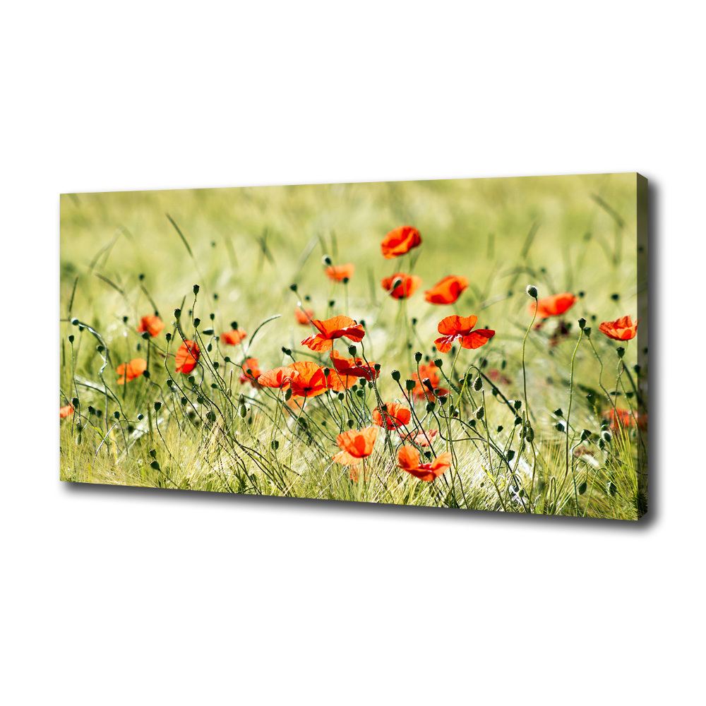 Canvas wall art Macs