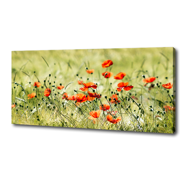 Canvas wall art Macs