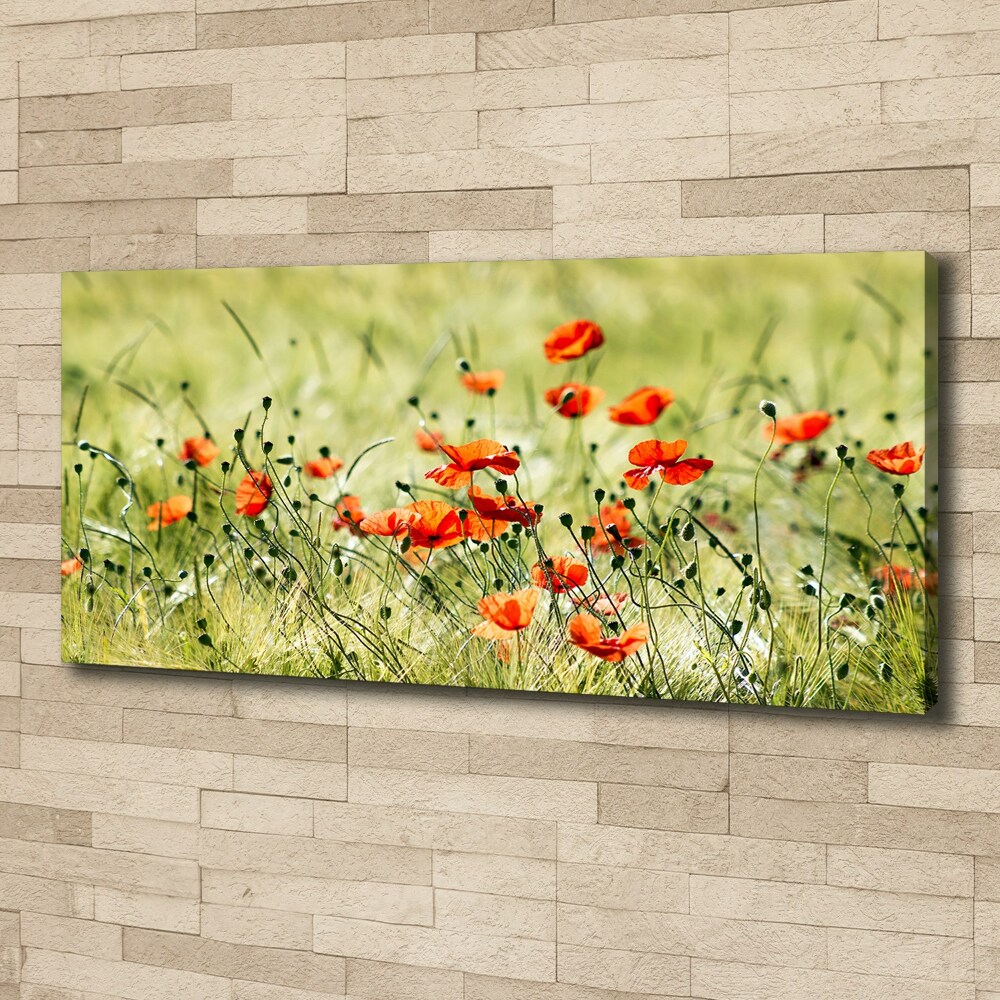 Canvas wall art Macs