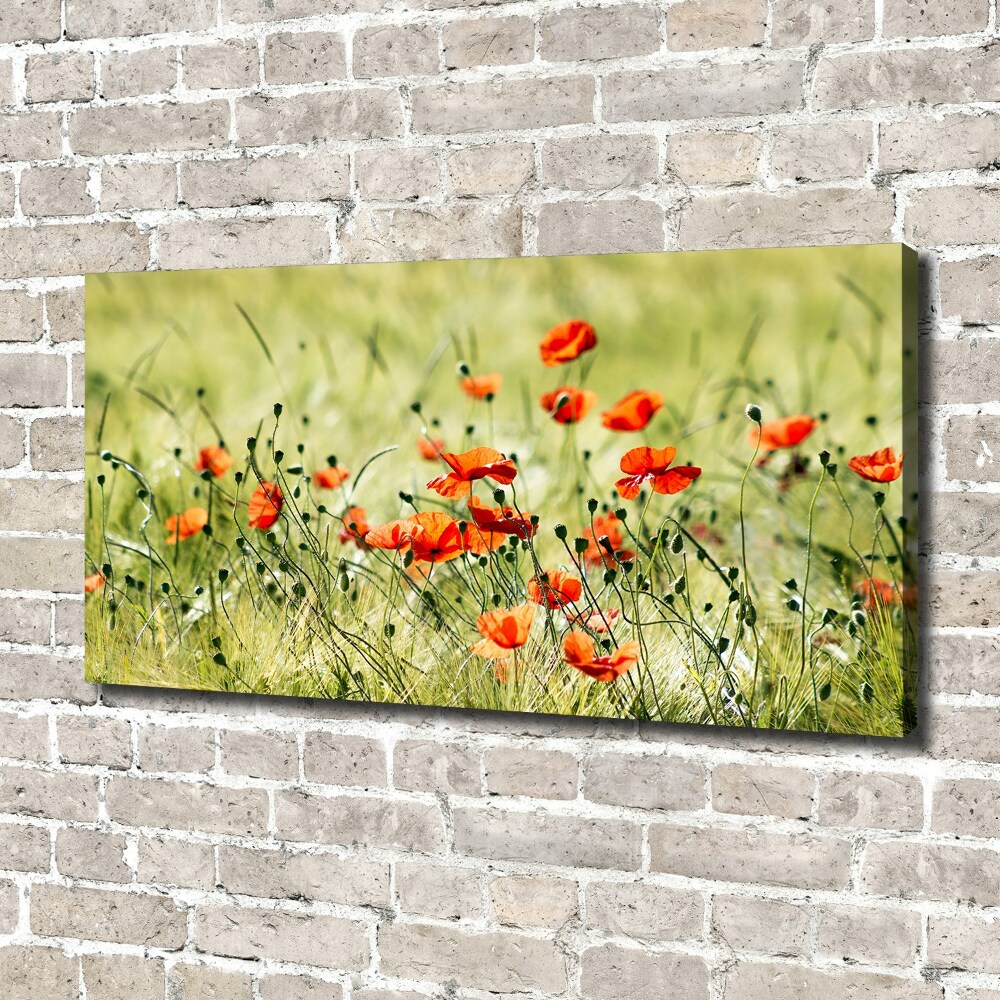 Canvas wall art Macs