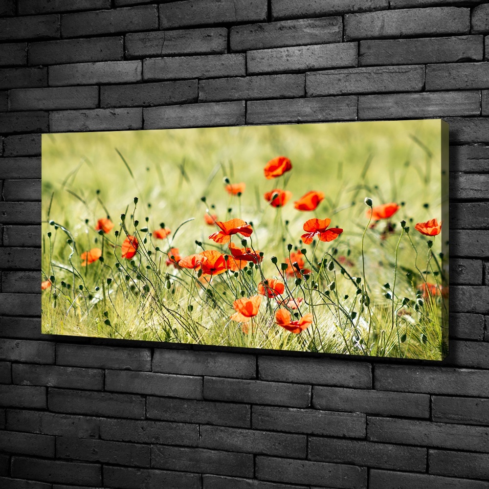 Canvas wall art Macs