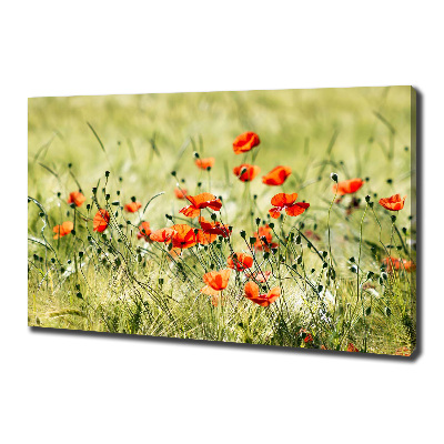 Canvas wall art Macs