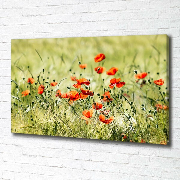 Canvas wall art Macs