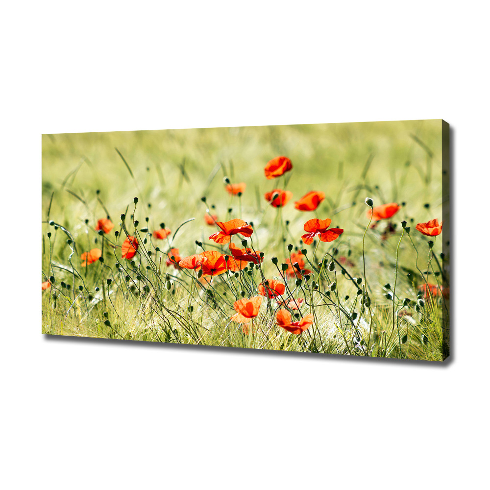 Canvas wall art Macs