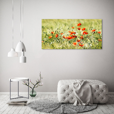 Canvas wall art Macs