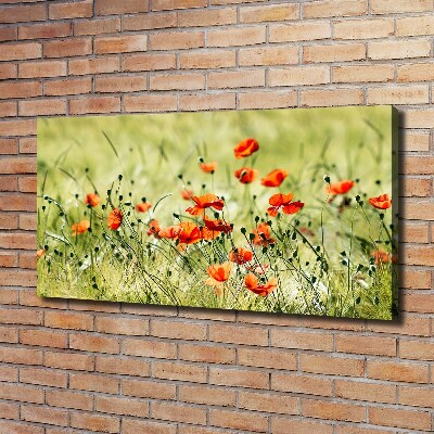 Canvas wall art Macs