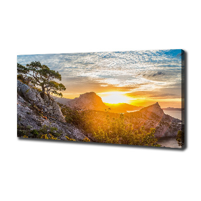 Canvas wall art Sunset