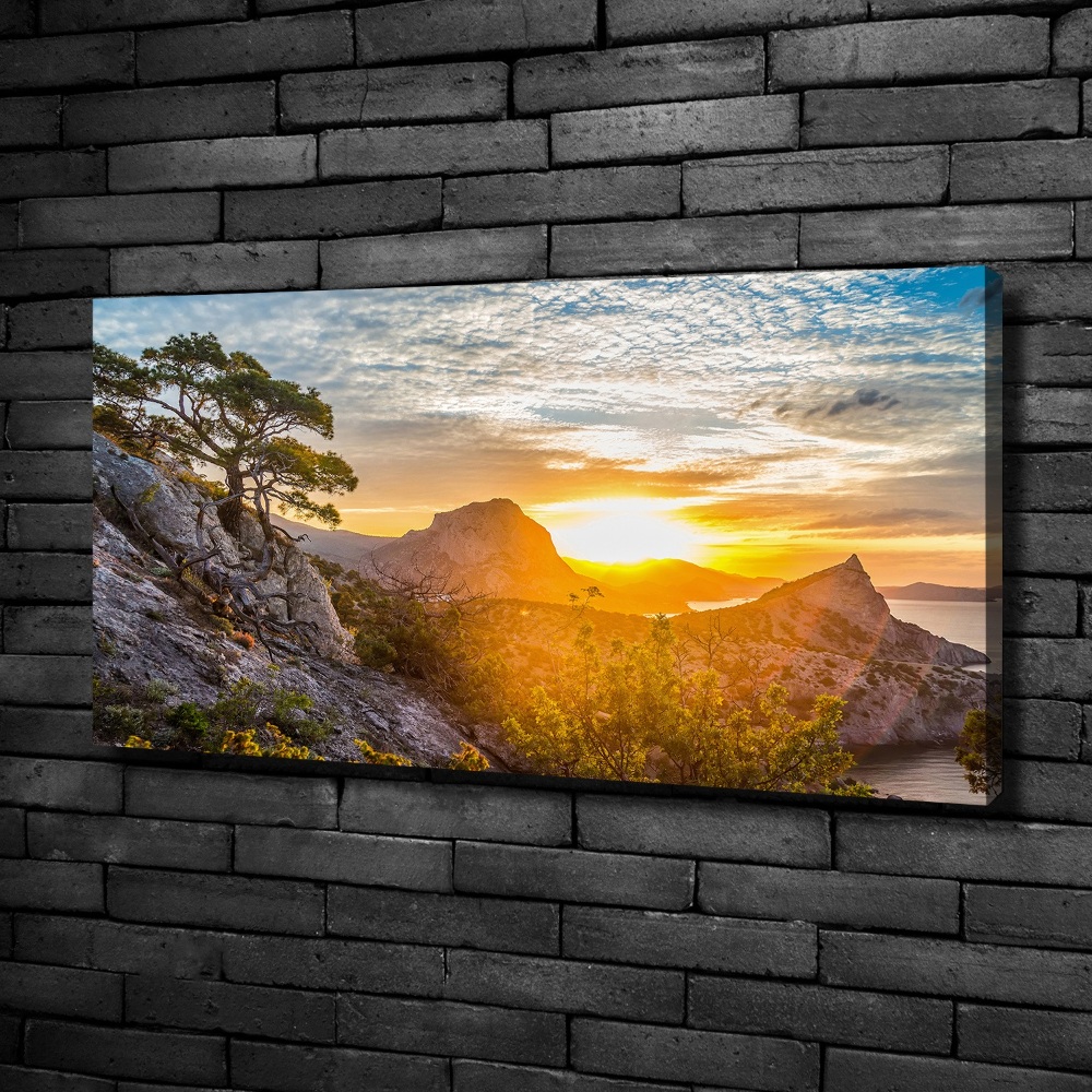 Canvas wall art Sunset