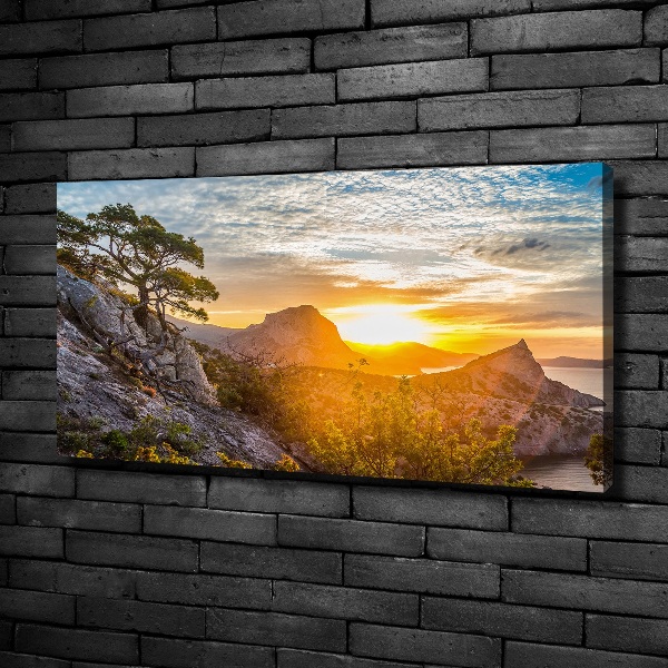 Canvas wall art Sunset